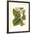 thumbnail image 1 of Art.com Fantastical Botanical IV Art Print by Vision Studio, Brown Frame Wall Art, 32" x 40", 1 of 5