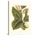 thumbnail image 1 of Art.com Fantastical Botanical IV Stretched Canvas Print Wall Art by Vision Studio, 24" x 32", 1 of 4