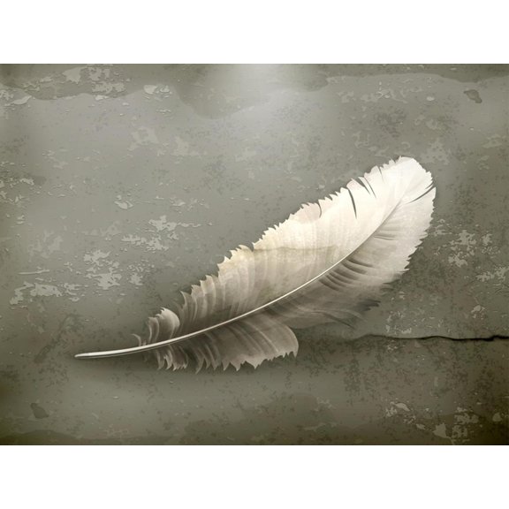 Art.com Feather, Old-Style Art Print by Nataliia Natykach, 24" x 18"
