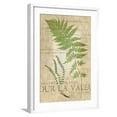 thumbnail image 1 of Art.com Fern Folio II Art Print by Vision Studio, White Frame Wall Art, 21" x 29", 1 of 5