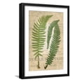 thumbnail image 1 of Art.com Fern Folio III Art Print by Vision Studio, Black Frame Wall Art, 17" x 23", 1 of 5