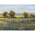 thumbnail image 1 of Art.com Field of Cattle I Art Print by Tim O'toole, 16" x 12", 1 of 4