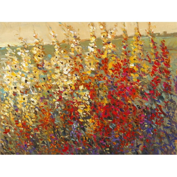 Art.com Field of Spring Flowers I Art Print by Tim OToole, 24" x 18"