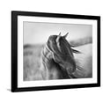 thumbnail image 1 of Art.com Fierce Grace Photographic Print by Tony Stromberg, Black Frame Wall Art, 40" x 32", 1 of 5