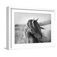 thumbnail image 1 of Art.com Fierce Grace Photographic Print by Tony Stromberg, White Frame Wall Art, 21" x 17", 1 of 5