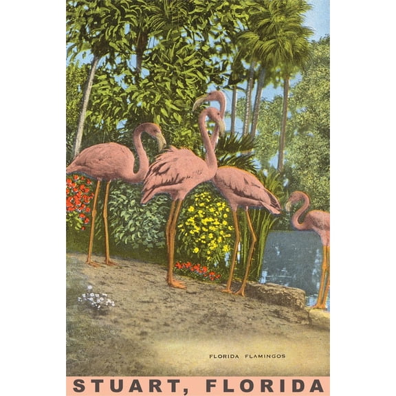 Art.com Flamingos, Stuart, Florida Art Print, 24" x 36"