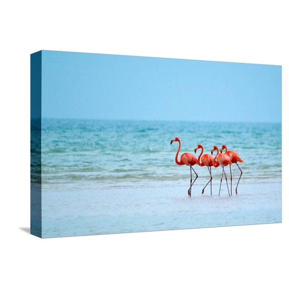 Art.com Flamingos and Ocean Stretched Canvas Print Wall Art by Lantern Press, 18" x 12"