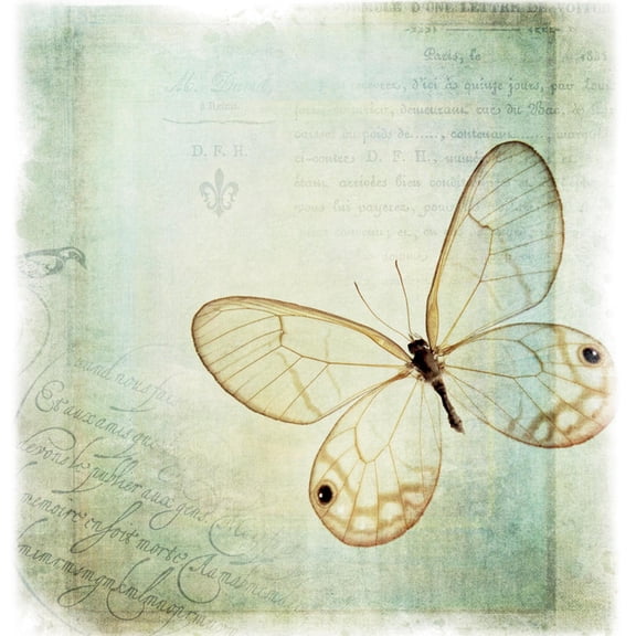 Art.com Floating Butterfly I Art Print by Debra Van Swearingen, 16" x 16"