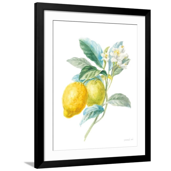 Art.com Floursack Lemon II on White Art Print by Danhui Nai, Black Frame Wall Art, 32" x 40"