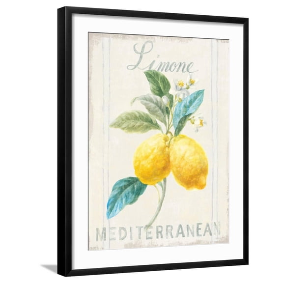Art.com Floursack Lemon III Art Print by Danhui Nai, Black Frame Wall Art, 23" x 29"