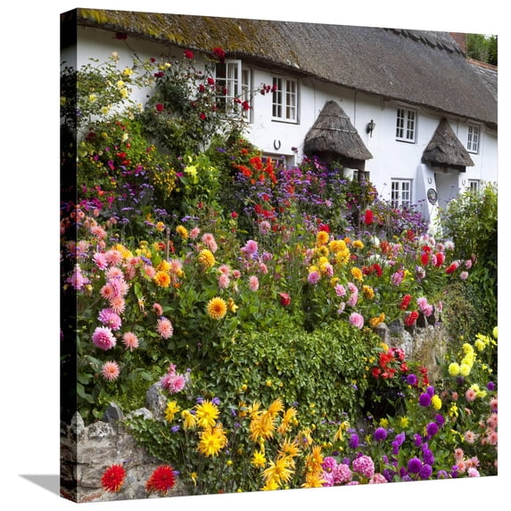 Art.com Flower Fronted Thatched Cottage, Devon, England, United Kingdom, Europe Stretched Canvas Print Wall Art by Stuart Black, 24" x 24"