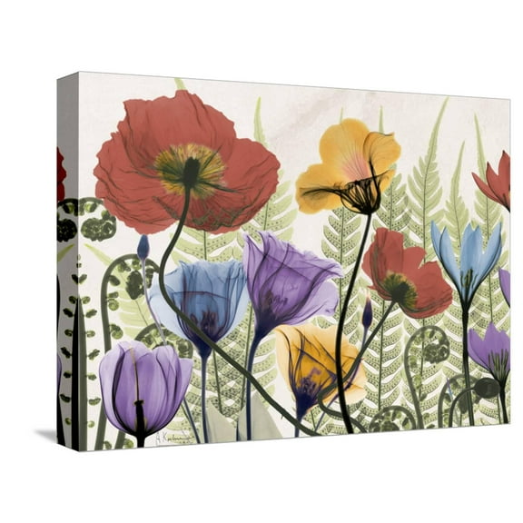 Art.com Flowers and Ferns 1 Stretched Canvas Print Wall Art by Albert Koetsier, 16" x 12"