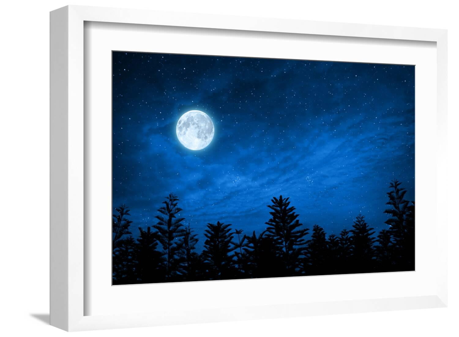 Art.com Forest in Silhouette with Starry Night Sky and Full Moon ...