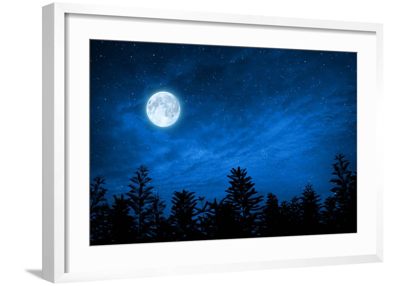 Art.com Forest in Silhouette with Starry Night Sky and Full Moon ...