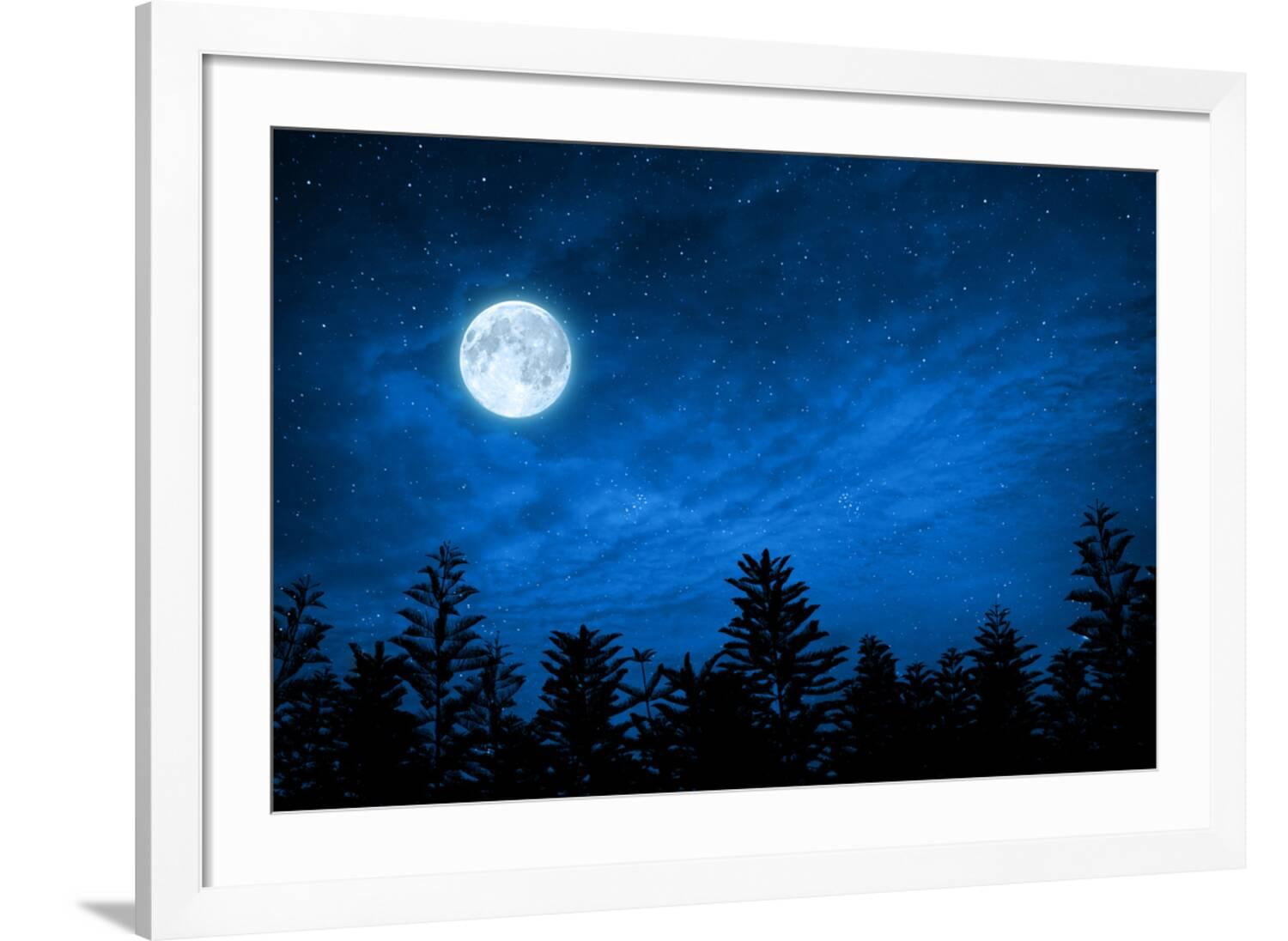 Art.com Forest in Silhouette with Starry Night Sky and Full Moon ...