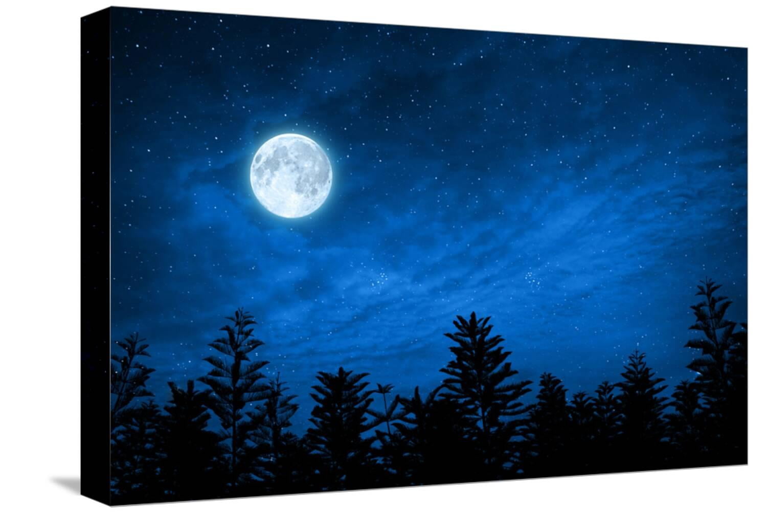 Art.com Forest in Silhouette with Starry Night Sky and Full Moon ...