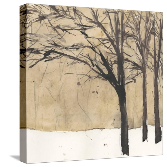 Art.com Forest Sketch II Stretched Canvas Print Wall Art by Samuel Dixon, 16" x 16"