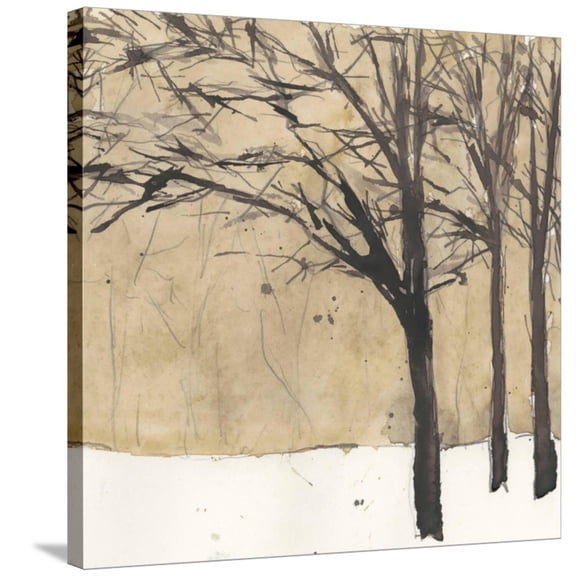 Art.com Forest Sketch II Stretched Canvas Print Wall Art by Samuel Dixon, 30" x 30"