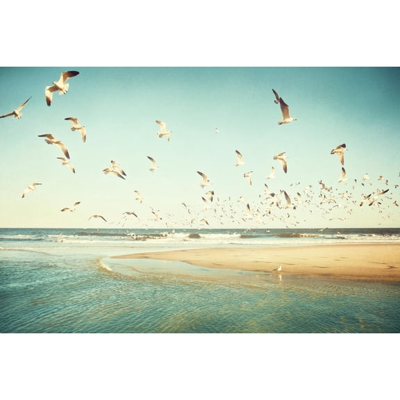 Art.com Freedom Photographic Print by Carolyn Cochrane, 36" x 24"