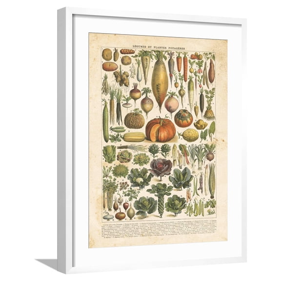 Art.com French Vegetable Chart Art Print by Gwendolyn Babbitt, White Frame Wall Art, 23" x 29"