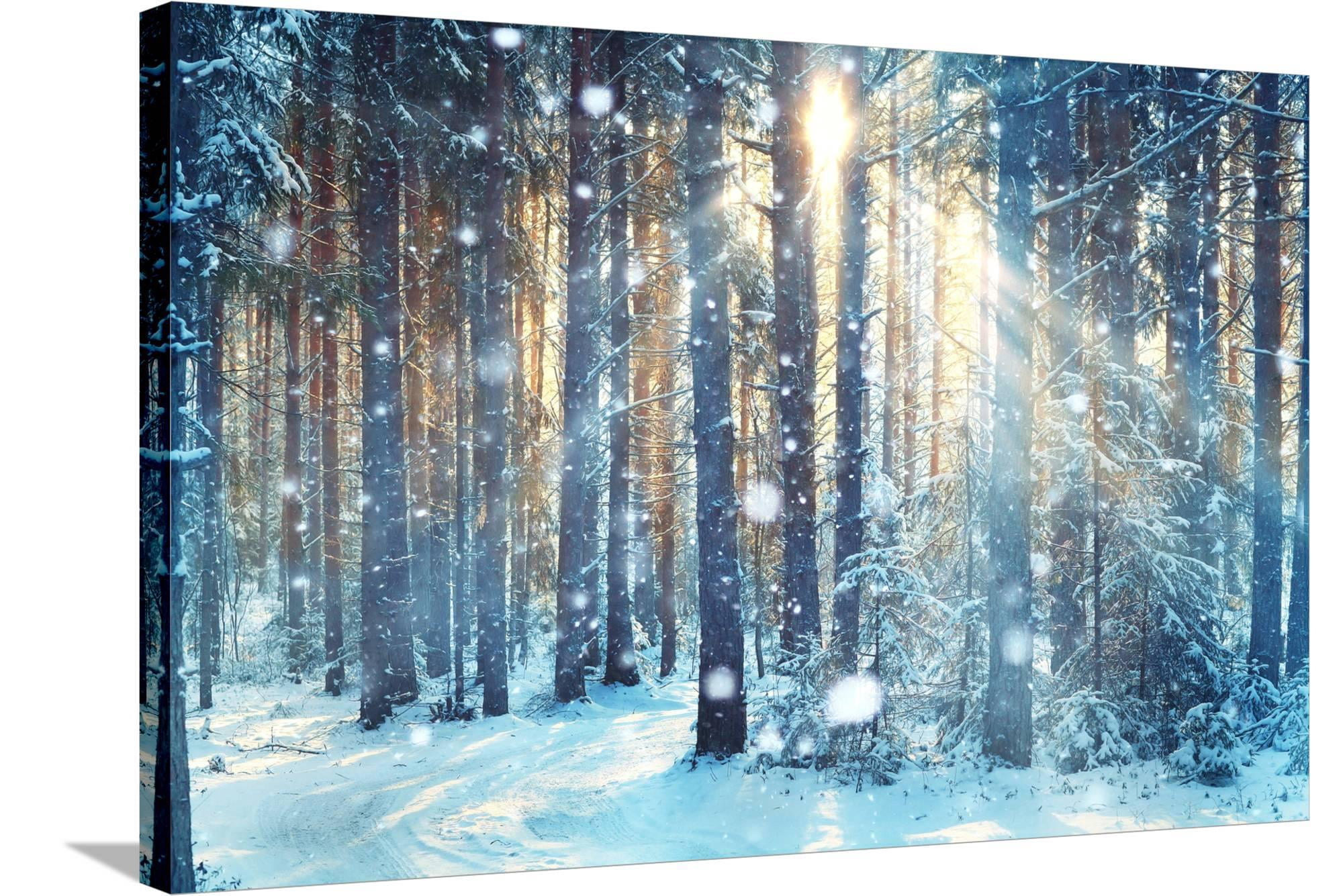 Art.com Frosty Winter Landscape in Snowy Forest Stretched Canvas Print ...