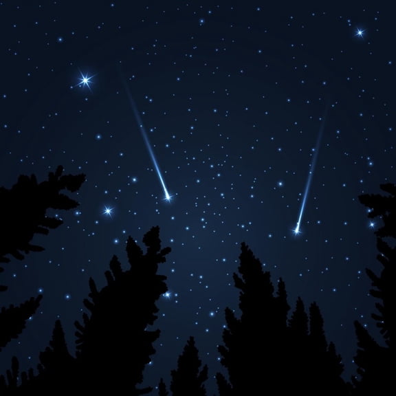 Art.com Galaxy with Framed with Pine Trees. Night Sky and Shooting Stars. Milky Way. Vector Illustration Art Print by acid2728k, 30" x 30"
