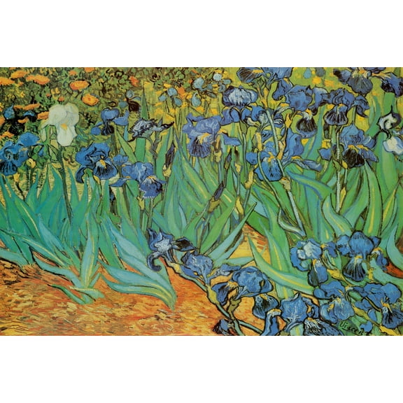 Art.com Garden of Irises (Les Irises, Saint-Remy), c. 1889 Poster by Vincent van Gogh, 36" x 24"