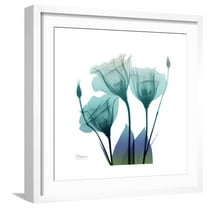 Art.com Gentian Buddies Art Print by Albert Koetsier, White Frame Wall Art, 21" x 21"