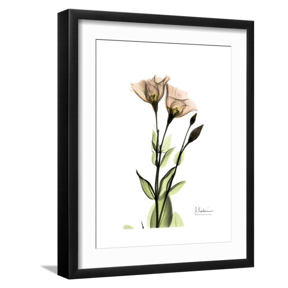 Art.com Gentian Twins Art Print by Albert Koetsier, Black Frame Wall Art, 17" x 21"