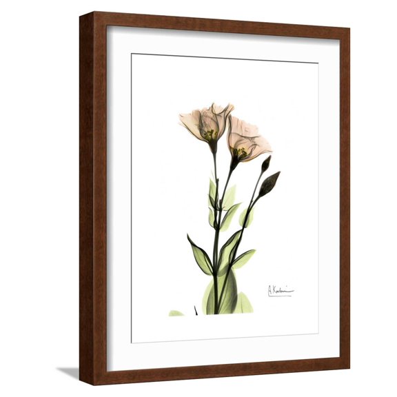 Art.com Gentian Twins Art Print by Albert Koetsier, Brown Frame Wall Art, 17" x 21"