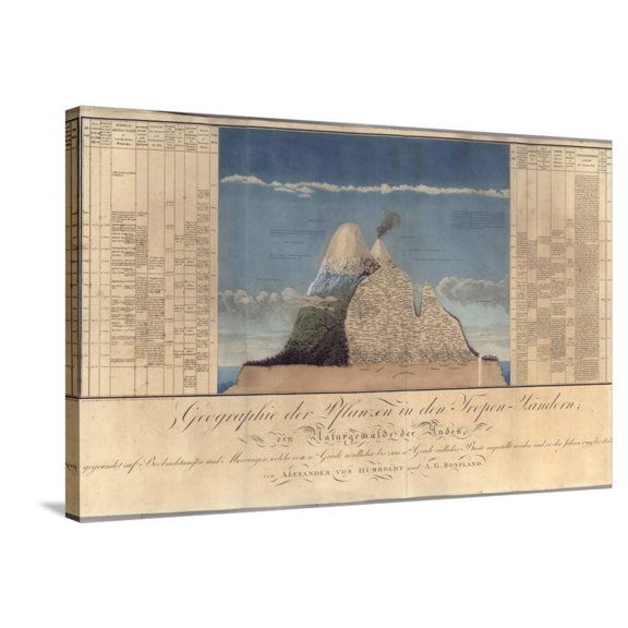 Art.com Geography of Plants in Tropical Countries, a Study of the Andes, Drawn by Schoenberger and… Stretched Canvas Print Wall Art by Friedrich Alexander, Baron Von Humboldt, 36" x 24"