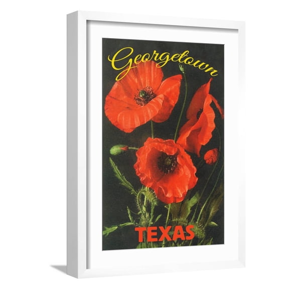 Art.com Georgetown, Texas - Corn Poppy Flowers Art Print by Lantern Press, White Frame Wall Art, 17" x 23"