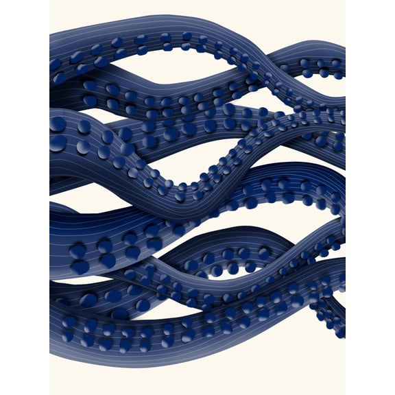 Art.com Giant Octopus Blue Triptych b Art Print by Fab Funky, 12" x 16"