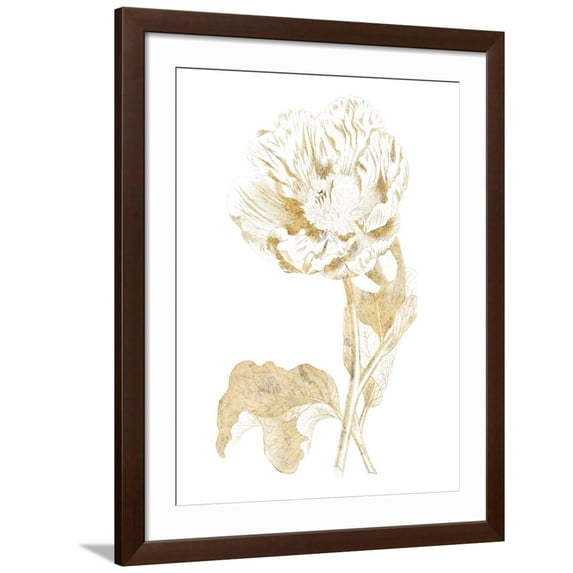 Art.com Gilded Botanical VII Art Print by Wild Apple Portfolio, Brown Frame Wall Art, 32" x 40"