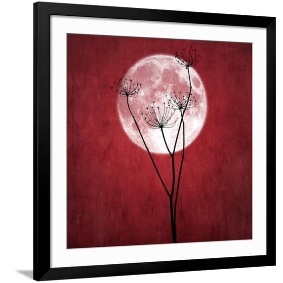Art.com Give Me the Moon Photographic Print by Philippe Sainte-Laudy, Black Frame Wall Art, 38" x 38"