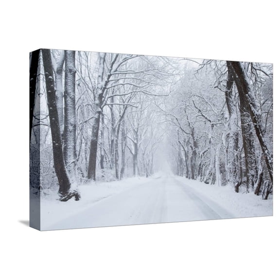Art.com Going Home Stretched Canvas Print Wall Art, 18" x 12"