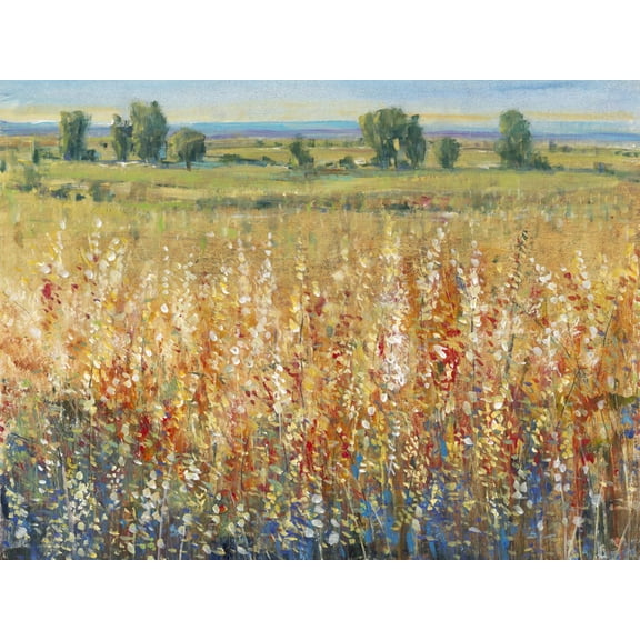 Art.com Gold and Red Field II Art Print by Tim OToole, 16" x 12"