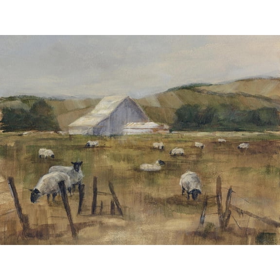 Art.com Grazing Sheep I Art Print by Ethan Harper, 16" x 12"
