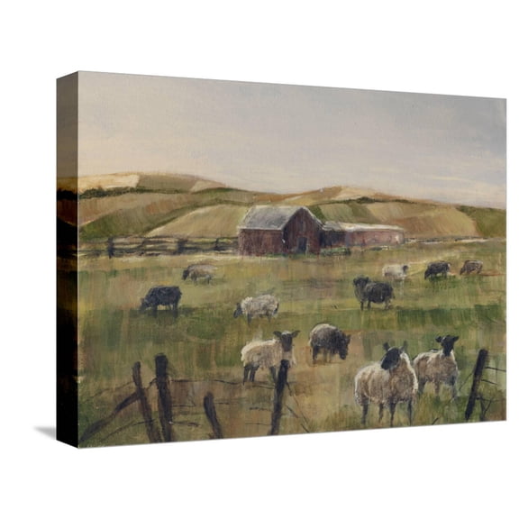 Art.com Grazing Sheep II Stretched Canvas Print Wall Art by Ethan Harper, 16" x 12"