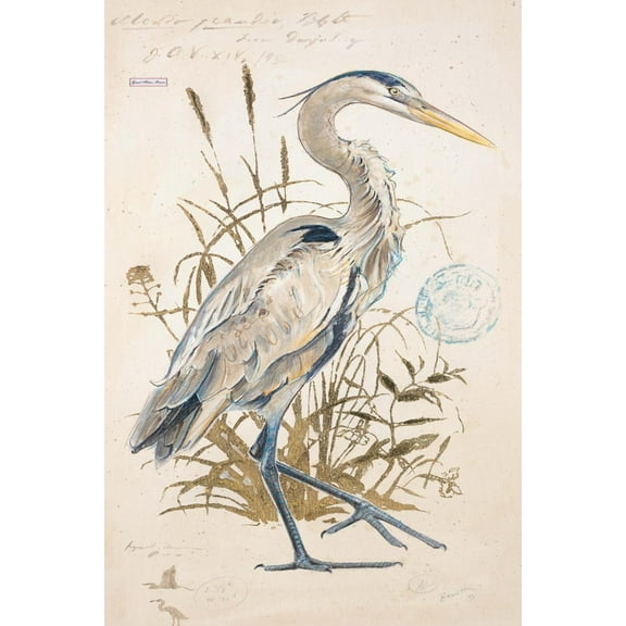 Art.com Great Blue Heron Art Print by Chad Barrett, 12" x 18"