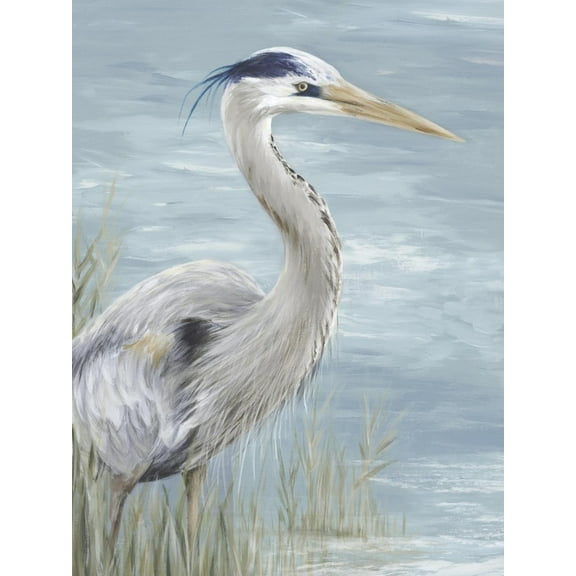 Art.com Great Blue Heron Gaze Art Print by Eva Watts, 18" x 24"
