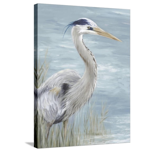 Art.com Great Blue Heron Gaze Stretched Canvas Print Wall Art by Eva Watts, 24" x 32"
