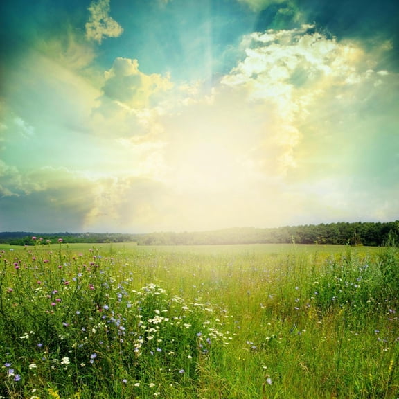 Art.com Green Meadow Under Blue Sky With Clouds Art Print by Volokhatiuk, 16" x 16"