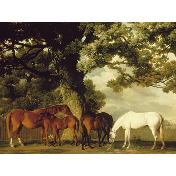 Art.com Green Pastures Art Print by George Stubbs, 32" x 24"