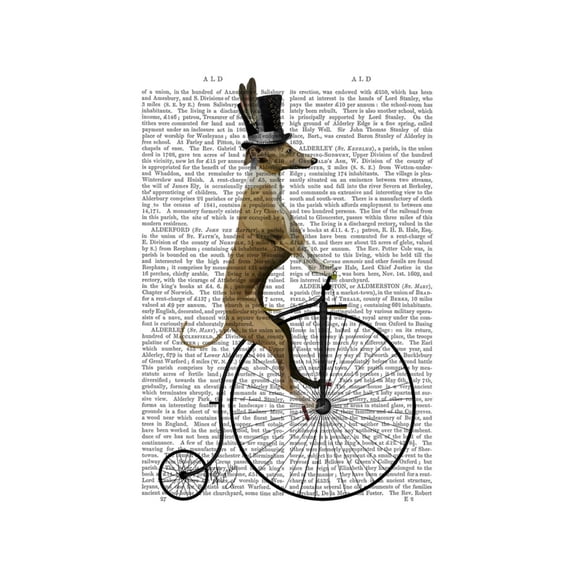 Art.com Greyhound on Black Penny Farthing Bike Art Print by Fab Funky, 12" x 16"