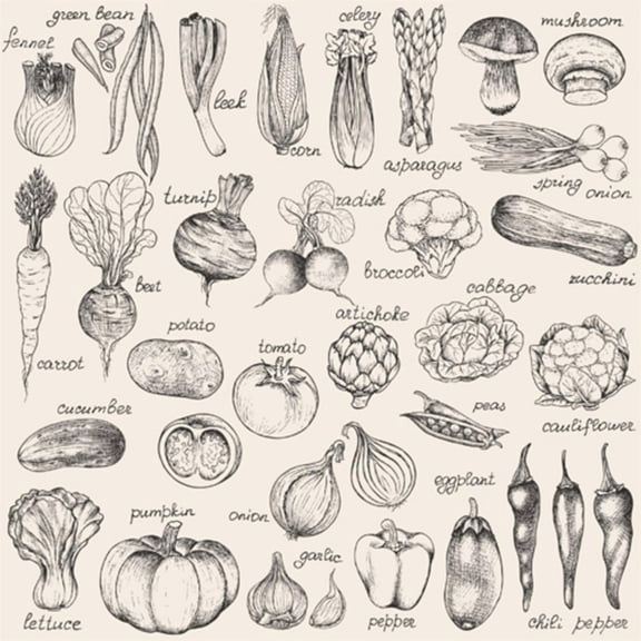 Art.com Hand-Drawn Vegetables Art Print by Nikiparonak, 16" x 16"