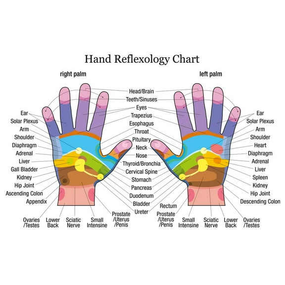 Art.com Hand Reflexology Chart Description Art Print by Peter Hermes Furian, 24" x 16"