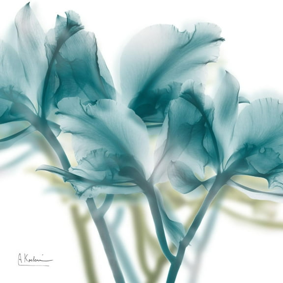 Art.com Harbor Blue Beauty 2 Art Print by Albert Koetsier, 16" x 16"