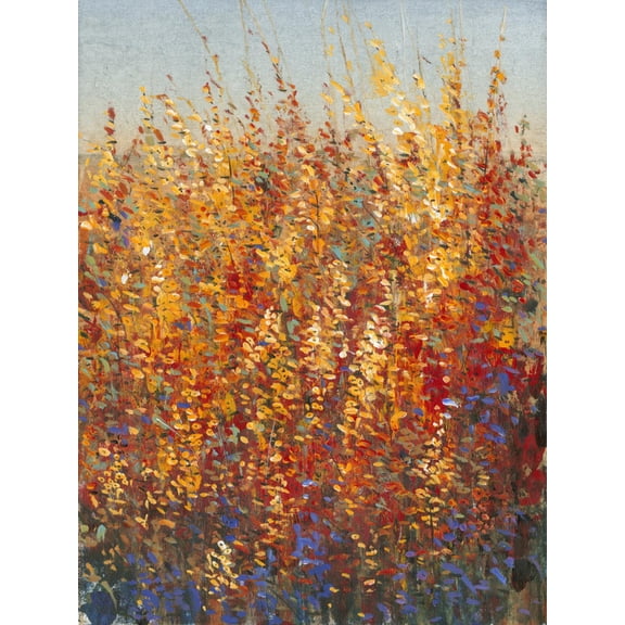 Art.com High Desert Blossoms I Art Print by Tim O'toole, 12" x 16"