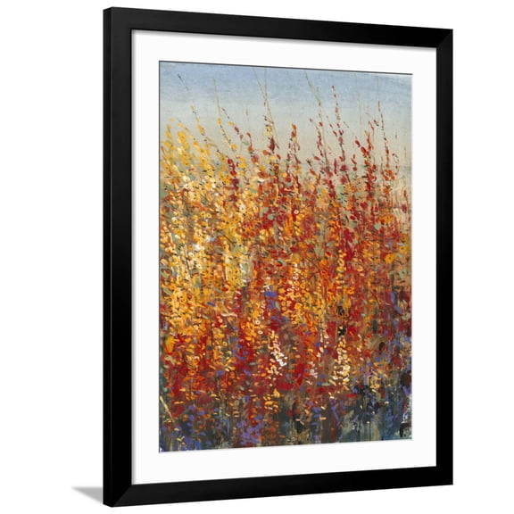 Art.com High Desert Blossoms II Art Print by Tim O'toole, Black Frame Wall Art, 32" x 40"